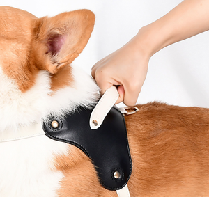 Ensemble de harnais, collier et laisse pour animaux de compagnie en cuir, réglable, respirant, confortable pour chiots, petits, moyens et grands chiens - Product Image 6