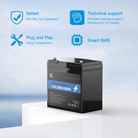 Batterie au lithium-fer rechargeable Melasta 12V, vente en gros, cycle profond, 12,8V 50Ah LiFePO4 avec BMS pour applications de chariots élévateurs