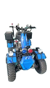 Nouveau design Véhicule tout-<span class=keywords><strong>terrain</strong></span> électrique Scooter VTT électrique 4x2/4x4 sélectionnable <span class=keywords><strong>Quad</strong></span> Véhicule de surf sur terre Vente directe usine - Product Image 2