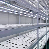 Oferta Destacada: Contenedor Hidropónico Grande de un Solo Tramo con Lámina de PC para Sistemas de Cultivo Vertical de Lechuga y Hortalizas de Hoja