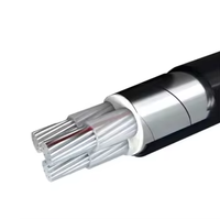 0,6/1kV Kupfer-oder Aluminium-XLPE-Isolierung PVC-gepanzertes unterirdisches Niederspannungs-Stromkabel