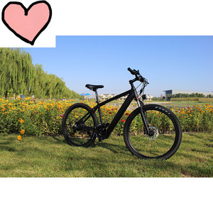 Kit de bicicleta eléctrica de montaña, bici con suspensión completa, neumáticos anchos 26, 350W, tailandesa <span class=keywords><strong>foxter</strong></span> - Product Image 6