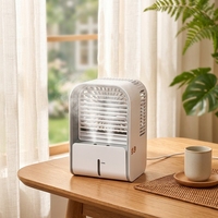 Vaporisateur rechargeable personnalisé Mini humidificateur électrique portable Alimentation USB Brume d'eau Ventilateur d'été Brume de refroidissement Batterie 4000mAh