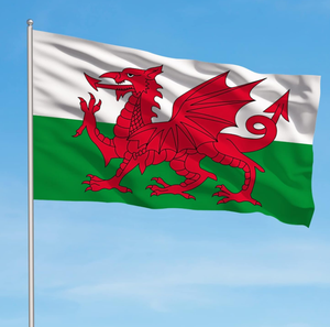 Vente en gros de haute qualité 3x5ft double couture polyester grand dragon gallois <span class=keywords><strong>drapeau</strong></span> de pays de galles drapeaux - Product Image 1