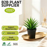 Plante artificielle en plastique de haute qualité en gros, plante serpent en pot de 18 cm, plante artificielle pour bureau de librairie, petit faux cactus
