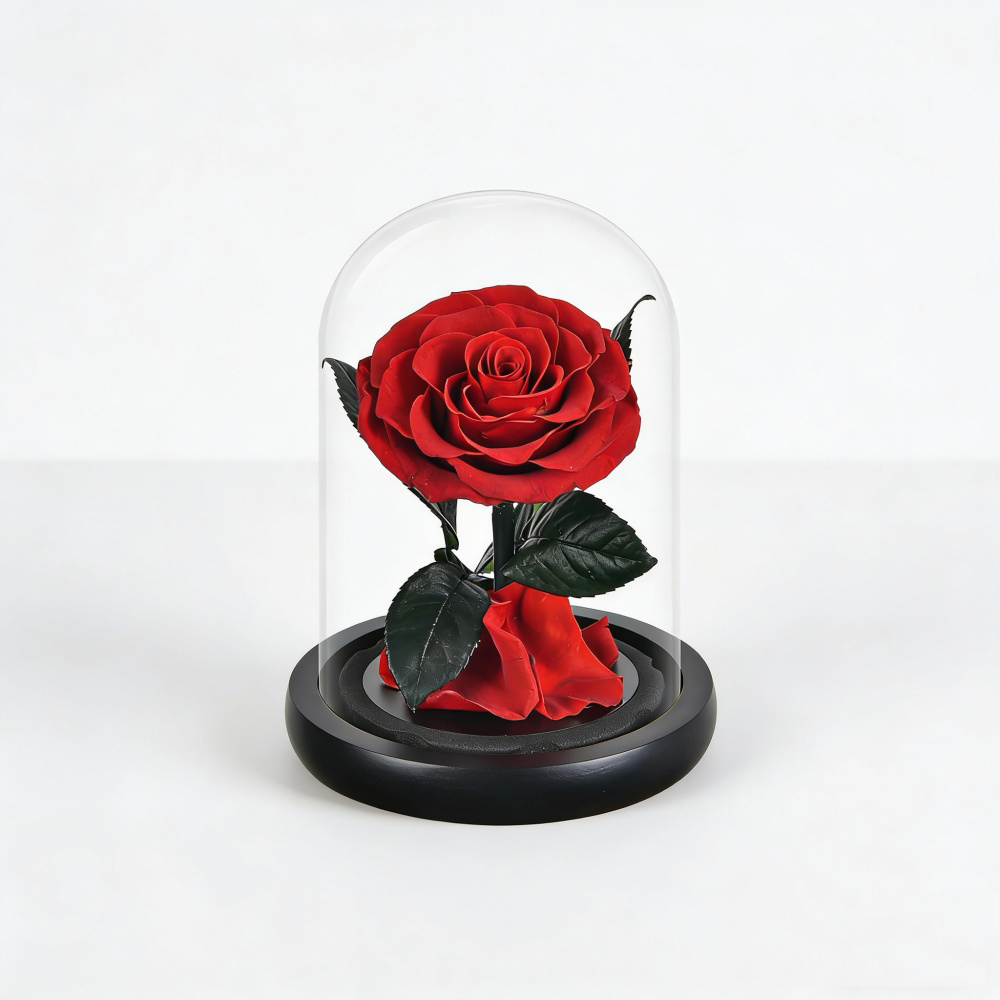Mini rouge 10*18