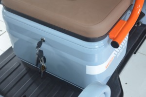 Triciclos Eléctricos Modernos de 2 Plazas Directo de Fábrica para Adultos y Pasajeros Mayores - Product Image 6