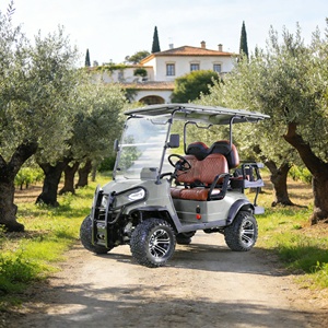 Véhicule utilitaire électrique de Type UTV, buggy <span class=keywords><strong>tout</strong></span>-<span class=keywords><strong>terrain</strong></span>, pour agricole et le jardin - Product Image 1
