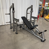 Équipement de musculation professionnel de haute qualité, banc incliné à 45 degrés, machine de musculation pour les triceps