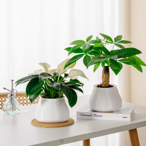Pot <span class=keywords><strong>de</strong></span> fleurs <span class=keywords><strong>en</strong></span> plastique Meixuan, auto-absorbant, respirant, à transmission <span class=keywords><strong>de</strong></span> lumière, durable, pour la <span class=keywords><strong>culture</strong></span> hydroponique et le jardinage à domicile - Product Image 3