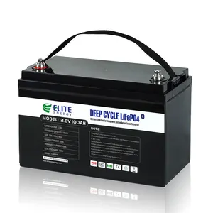 Elite liontron 12.8v 100ah lithium lifepo4 mit bms 12v deep cycle lithium ion battery 12v ion 12v100ah lithium battery