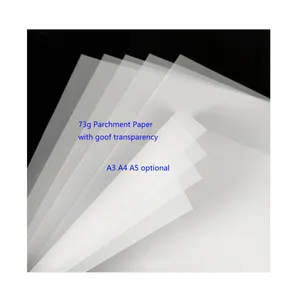 Groothandel Goede Transparantie 83G Perkamentpapier A4 Litmus Lakens 100 Stks/zak Voor Lichtgevoelige Portrai Flash Stempel Machine