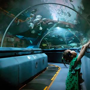 Gegoten Acryl Van Topkwaliteit Voor Het Bouwen Van Aquariumtanks Met Een Capaciteit Van Een Miljoen <span class=keywords><strong>Liter</strong></span> - Product Image 2