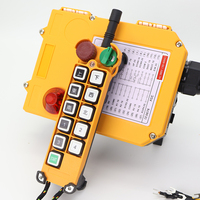 F24-10D télécommandes sans fil 12v 24v IP65 de fabricant de camion industriel de grue imperméable
