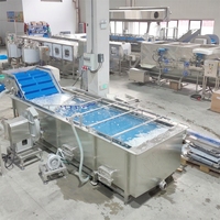 LWT Bubbelwasmachine voor het reinigen van groenten en fruit, SS304 roestvrij staal, industriële voedselverwerkingsapparatuur