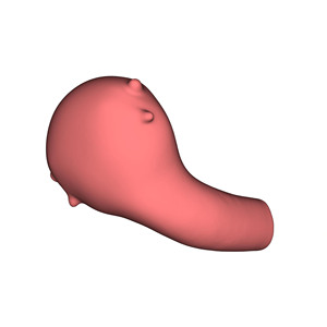 Modello di formazione per miomectomia uterina modello di formazione medica modello di insegnamento ospedaliero e scolastico - Product Image 5