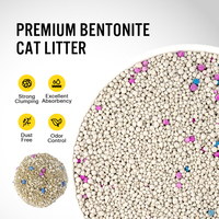 Litière pour chat en bentonite à marque privée, vente en gros, faible teneur en poussière, absorption rapide, contrôle des odeurs, litière agglomérante naturelle en argile, directement de l'usine