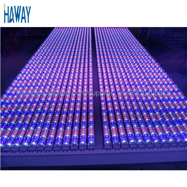 Versión Profesional T8 integrado lámpara doble fila 1,2 M 36W lleno espectro led crece la luz del tubo de la fábrica de China