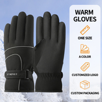 Gants de ski unisexes personnalisés avec logo, résistants à l'eau, coupe-vent, antidérapants, pour les sports et activités de plein air