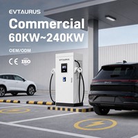 Chargeur rapide DC pour véhicules électriques industriel 60 kW-240 kW, nouvelle station de recharge commerciale au sol IP54 pour voitures électriques avec CCS GBT