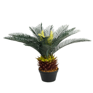 Nhà Máy Cung Cấp Trực Tiếp Chất Lượng Cao Nhân Tạo Cycas Cây Cọ Cycus Nhà Máy Sago Cycas Cây Cây Cho Nhà Văn Phòng Trang Trí Sân Vườn - Product Image 2