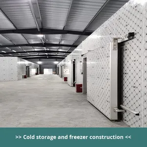 Thương mại di động nhỏ phòng lạnh lưu trữ thiết bị hoàn chỉnh Tủ đông lạnh đơn vị cho thực phẩm tươi <span class=keywords><strong>Ice</strong></span> container - Product Image 2