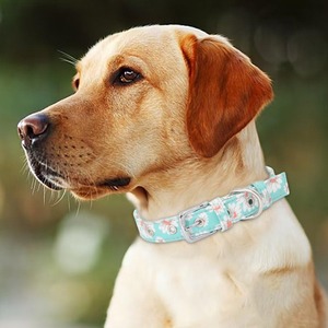 लक्जरी ग्रेड नरम पुष्प धनुष कुत्ते कॉलर समायोज्य धातु बकल रंगीन पॉलिएस्टर रिबन के साथ रिबन पालतू जानवरों की आपूर्ति मुद्रित बकसुआ - Product Image 4