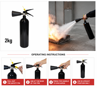 Extincteur à CO2 noir sans résidus de 2 kg avec buse professionnelle pour lutte rapide contre les incendies électriques