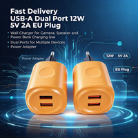 Pengisi Daya USB-A Dual Port 12W 5V 2A Colokan EU Kompatibilitas Luas untuk Penggunaan Pengisian Daya di Rumah, Perjalanan, dan Kantor
