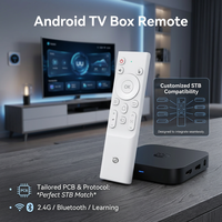 Fabricante Profesional de Controles Remotos, Servicio OEM ODM, RCT6016, Logotipo Personalizado e Impresión por Serigrafía, Controles Remotos por Voz IR BT 2.4G