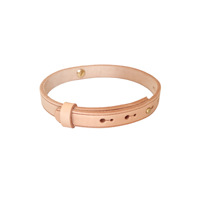 Collier en cuir pleine fleur de qualité supérieure pour animaux de compagnie avec attache pour sucette, pour petits chiens et chats, réglable, imperméable, pour la promenade en extérieur