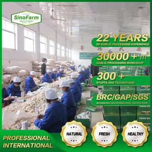 <span class=keywords><strong>Ajo</strong></span> fresco hinese rojo normal púrpura <span class=keywords><strong>ajo</strong></span> blanco puro <span class=keywords><strong>ajo</strong></span> alho garlics precio al por mayor 2023 - Product Image 4