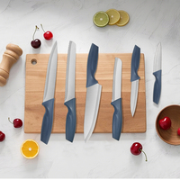 Ensemble de couteaux de cuisine en acier inoxydable avec manche en plastique
