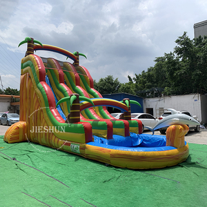 Inflatable Commercial Dolphin  Water Slide with Pool  Double Lanes Outdoor Inflatable Toys - Product Image 2