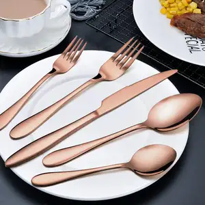 Silverware set 45pc bronze cutlery sets brass boxed Hotel Luxury