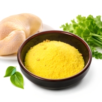 Assaisonnement en poudre de poulet premium, base de bouillon finement granulée pour soupes, ragoûts, sauces et applications restauration rapide