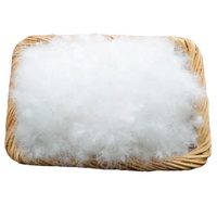 Duvet de canard ou d'oie blanc RDS de haute qualité pour homme, femme et enfant, veste et manteau fins