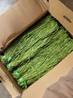 Vegetal Seco de Tallo Entero