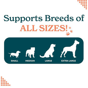 Suplementos para el cuidado de la salud de mascotas de Etiqueta Privada, masticables suaves calmantes para ayudar a reducir la <span class=keywords><strong>ansiedad</strong></span> por separación - Product Image 5