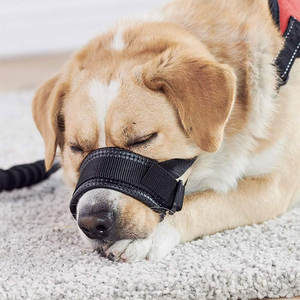 ตะกร้อปากสุนัขไนล่อนบุนวมปรับได้สีดำขนาด M-L-XXL สำหรับ panting และดื่มเปลือกการควบคุม - Product Image 5