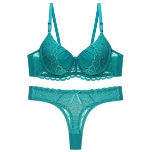 Borduurwerk Dames Sexy Lingerie Kant BH en Slip Set Sexy Volledige Vormen Plus Size Lingerie Standaard 3D Borduurwerk Seks Ondergoed 0.1 - Product Image 4