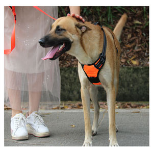 2025 nuevo arnés ecológico para perros XL, accesorio de plástico de nailon para mascotas con bonito conjunto de correa de cuello sólido para mascotas, sin tirones sólidos - Product Image 5