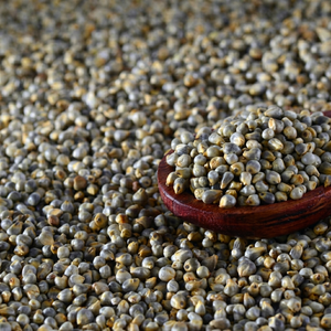 Grano de Mijo Perla Natural - Product Image 1