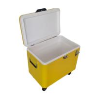 Chariot isotherme pliable 40L/50L, seau à glace métallique, boîte à glace isotherme avec roues et poignée de traction pour pique-nique – Vente chaude