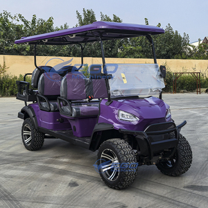 Mini Club Car de 6 Plazas, Vehículo Eléctrico Todoterreno de Alta Potencia, Carro de Golf para Uso en Parques y Zonas Turísticas - Product Image 6