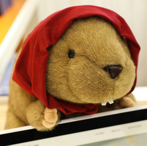 Peluche marmotte brune, porte-clés marmotte en peluche, animal de <span class=keywords><strong>la</strong></span> forêt en peluche personnalisé - Product Image 6