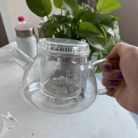 Théière et tasse à thé Gongfu en verre borosilicate soufflé à la bouche, résistant à la chaleur, faits à la main, écologiques, avec filtre, faible MOQ, en stock, 500 ml