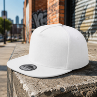 6-Panel 100% Baumwolle Einfarbige Modische Baseballkappe Verstellbar Unisex Erwachsene Sommer Street Dance Skateboarding Snapback