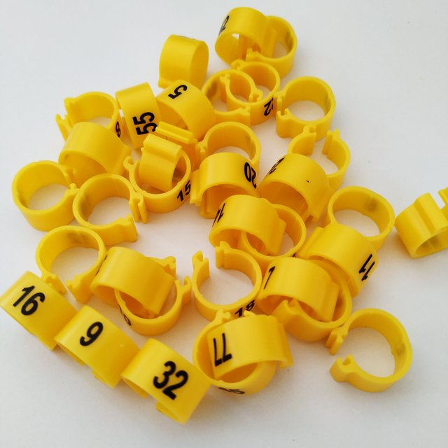 8mm 10mm 12mm 14mm Plastic Pigeon Ring Clip-On Poultry Dove Bird Chicks Duck Parrot for Identification Band PH-128