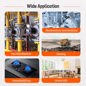 AIKESI ADKS-4 taşınabilir çoklu gaz detektörü 4 in 1 kaçak dedektörü Plug-In LEL H2S CO O2 4 gaz LEL gaz analizörü - Product Image 6